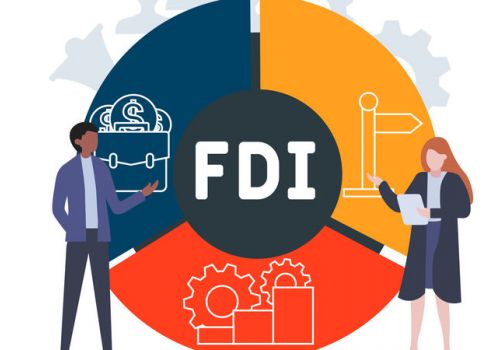 Hiệu suất kinh doanh của các doanh nghiệp FDI trên sàn chứng khoán.