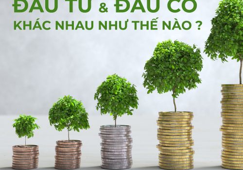 Đầu tư và đầu cơ khác nhau như thế nào?